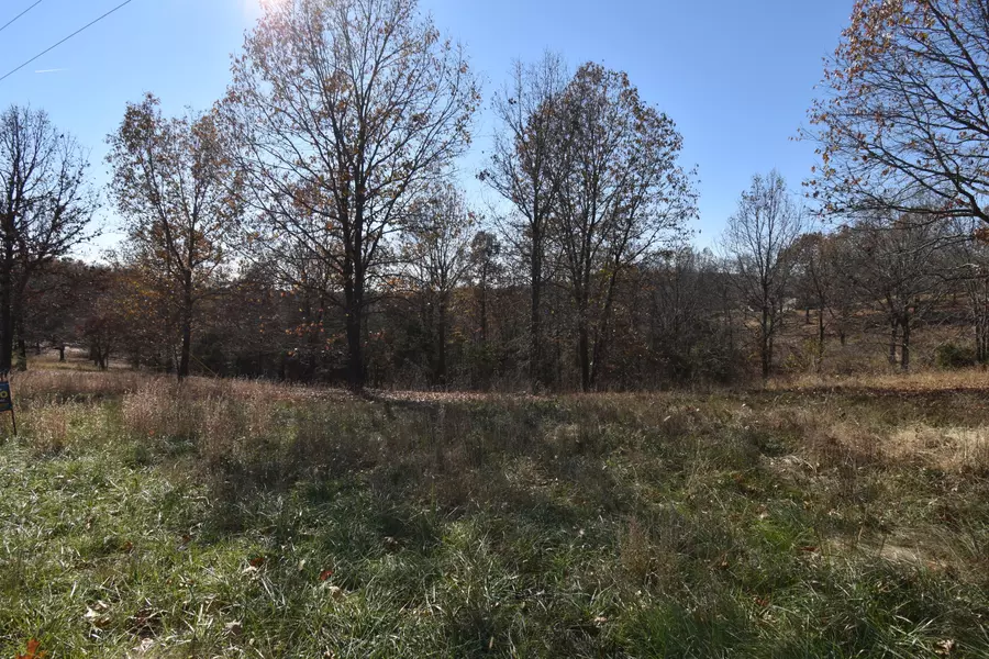 Lot 150 Panorama DR, Cape Fair, MO 65624