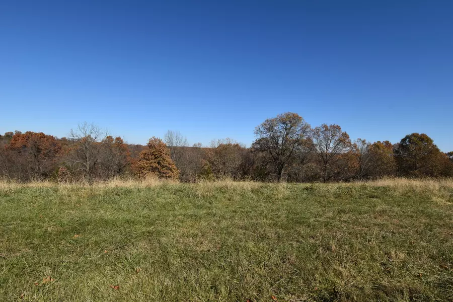 Lot 186 Panorama DR, Cape Fair, MO 65624