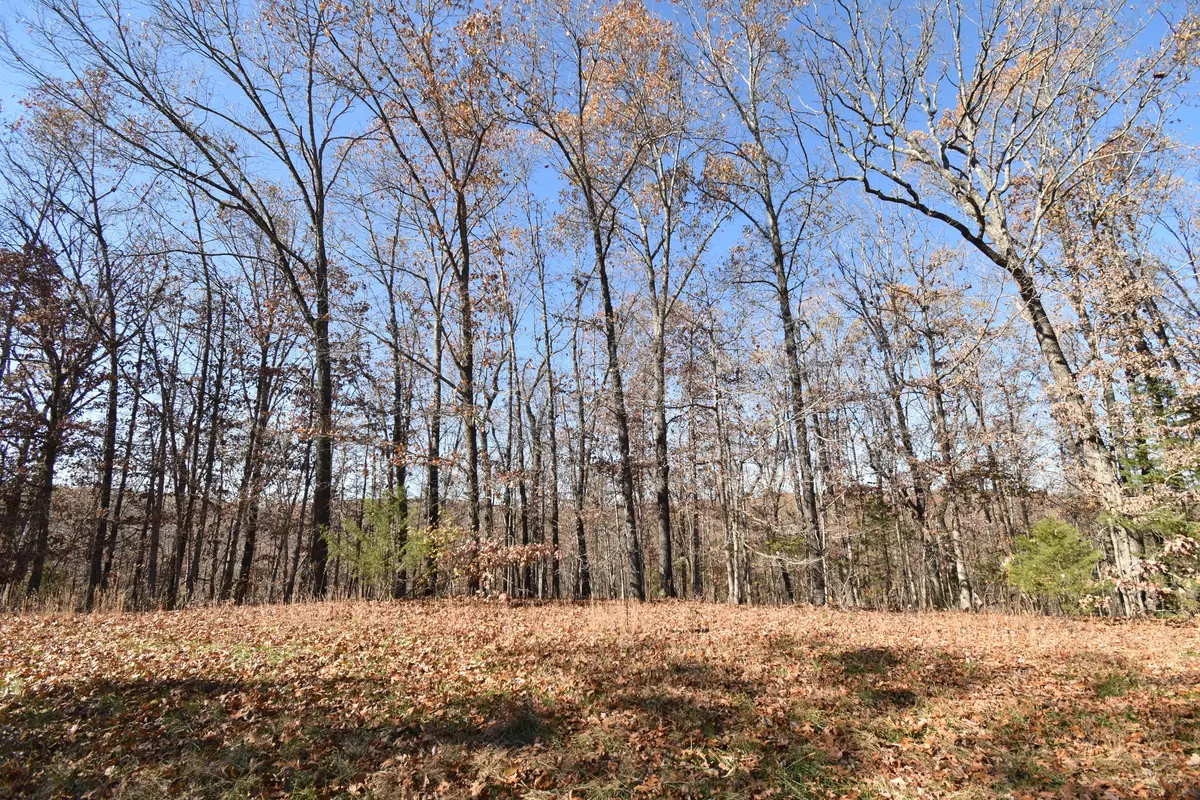 Cape Fair, MO 65624,Lot 74 Jeffery LN