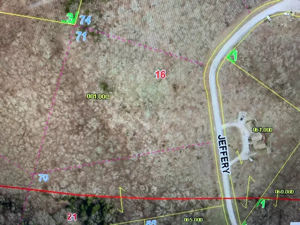 Cape Fair, MO 65624,Lot 71 Jeffery LN