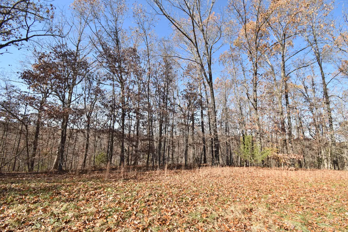 Cape Fair, MO 65624,Lot 71 Jeffery LN