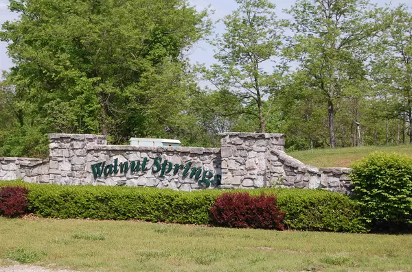 Cape Fair, MO 65624,Lot 194 Panorama DR