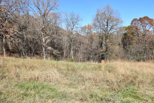 Lot 194 Panorama DR, Cape Fair, MO 65624