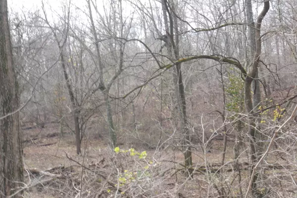 Marionville, MO 65705,Lot 15 Bear Cave Estates