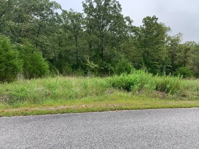 Lot 43 Forest Lake DR, Branson West, MO 65737