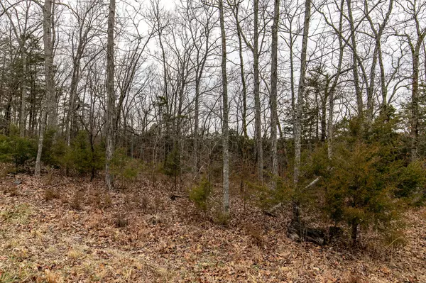 Galena, MO 65656,Lot 32 Woodlands On The Lake