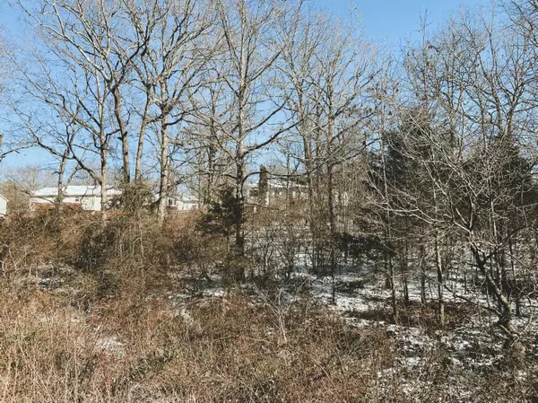 000 Ginger Drive Lot 11, West Plains, MO 65775