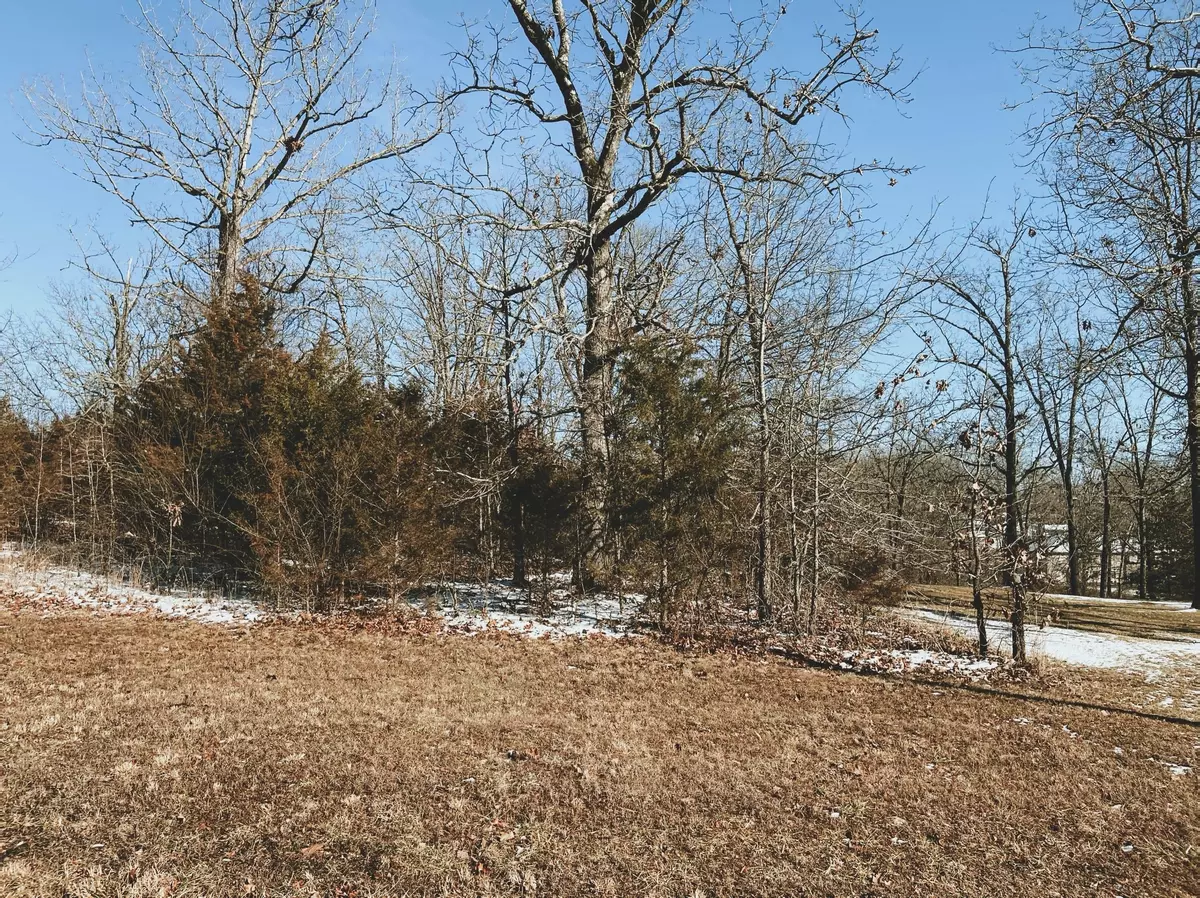 West Plains, MO 65775,000 Rhonda Drive Lot 3