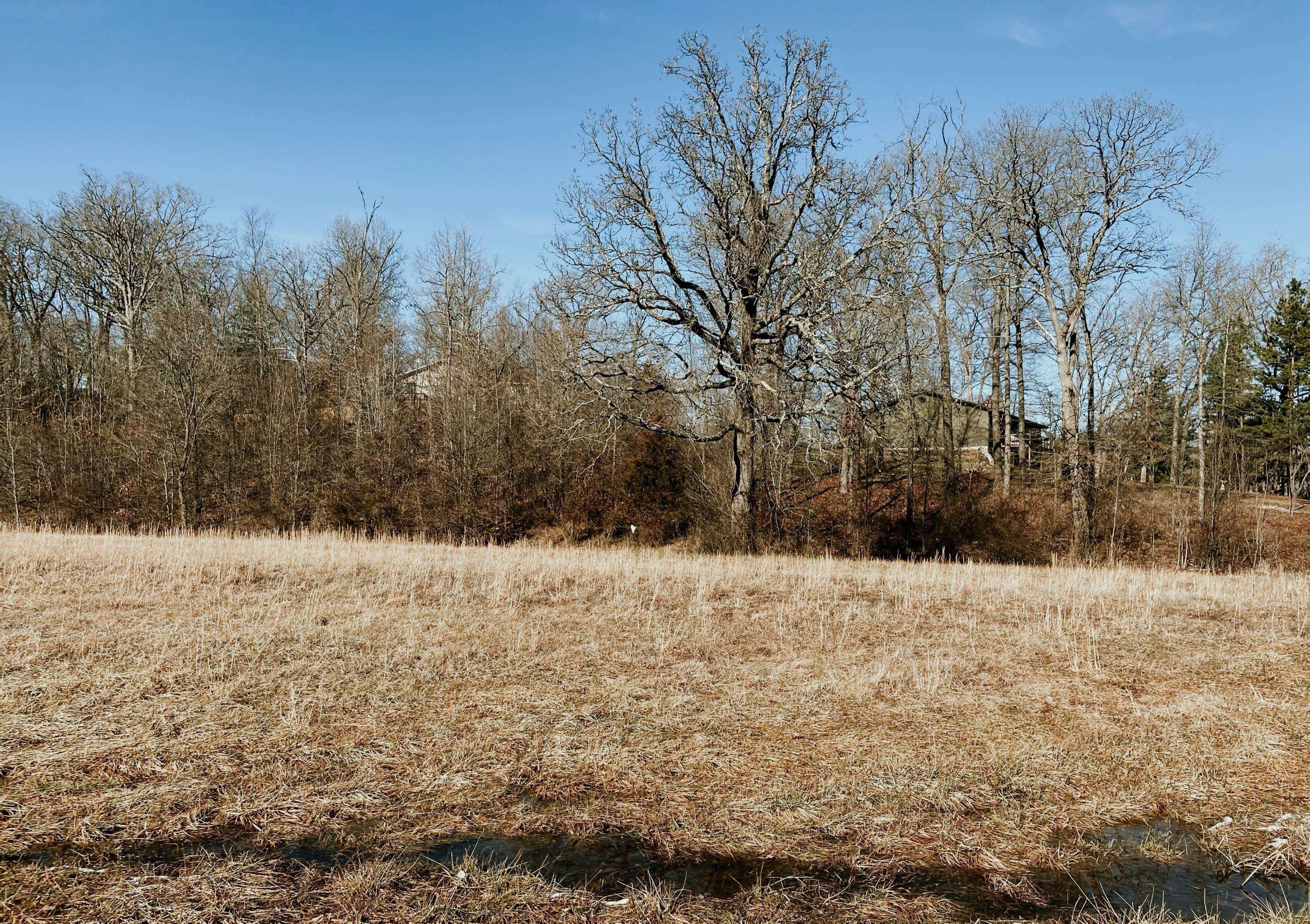 000 Lot 1 Block 12 Morrison Sub, West Plains, MO 65775
