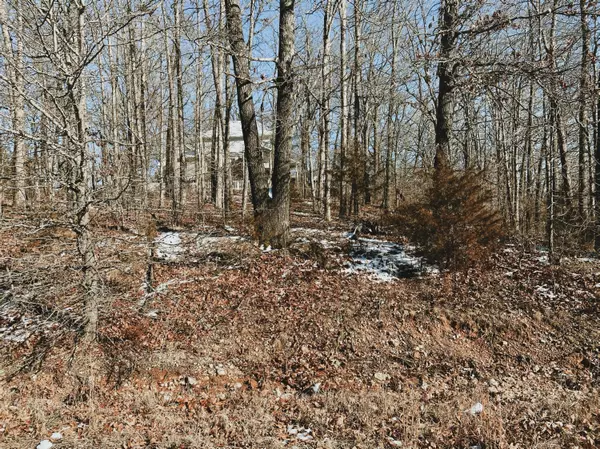 West Plains, MO 65775,000 Lot 3 Block 13 Morrison Sub