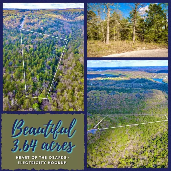 Lot 10 Huntington DR, Branson, MO 65616