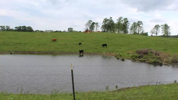 Caulfield, MO 65626,118 County Road 7260