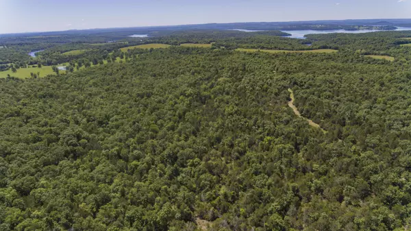 Protem, MO 65733,2505 Elbow RD