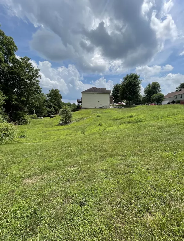 Nixa, MO 65714,Lot #24 S Peach Brook DR