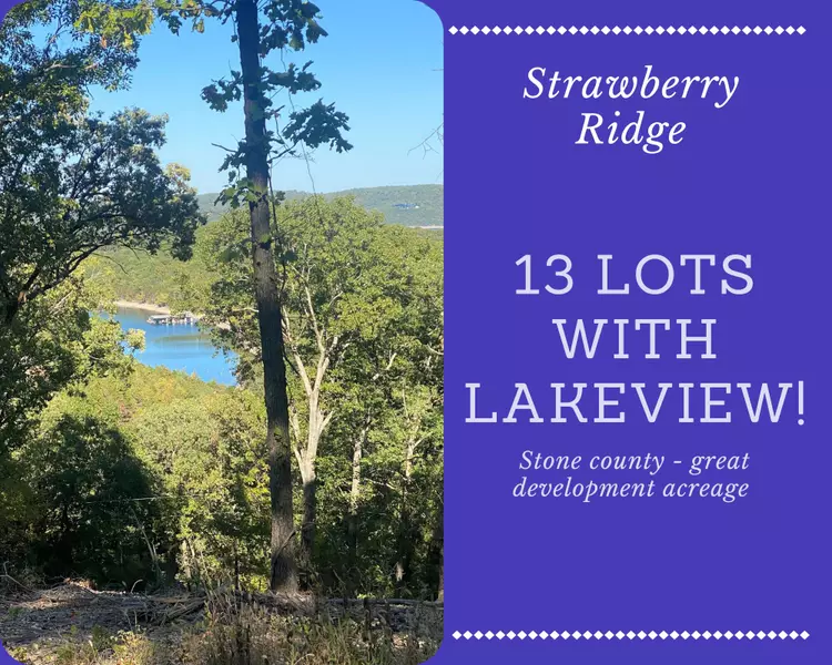 Lot 1-13 Cassie Drive/Strawberry Ridge, Lampe, MO 65681