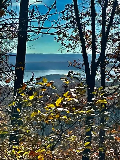 Lot 11 Lazarus,  Branson West,  MO 65737