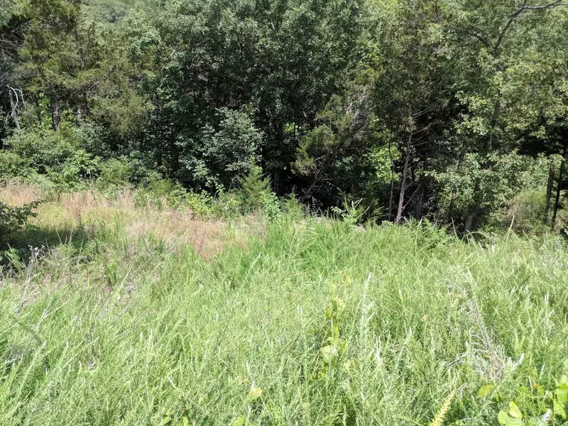 Lot 69 Summer Road, Kimberling City, MO 65686