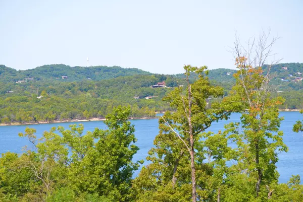 Lot 9 Whitefish Bay, Lampe, MO 65681