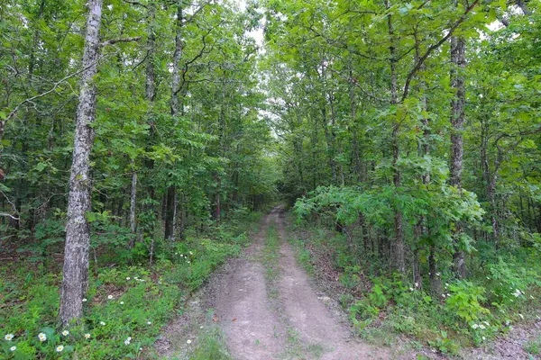 Mountain View, MO 65548,000 Private Road 3696