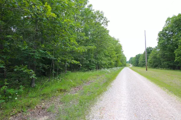 Mountain View, MO 65548,000 Private Road 3696