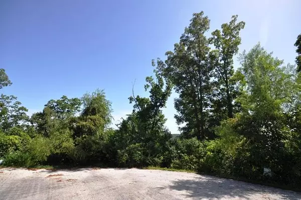 Branson, MO 65616,1732 Emory Creek BLVD