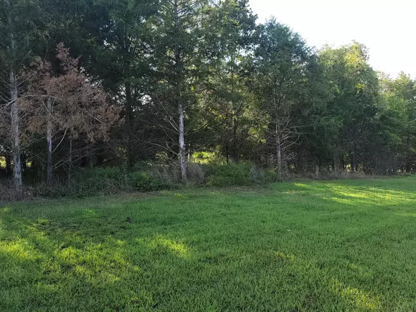 Golden, MO 65658,Lot 93 Farm Road 1225