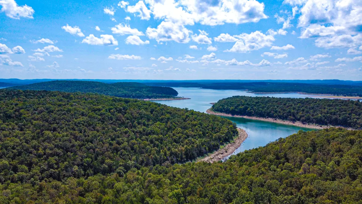 Protem, MO 65733,000 Pine Hollow Road