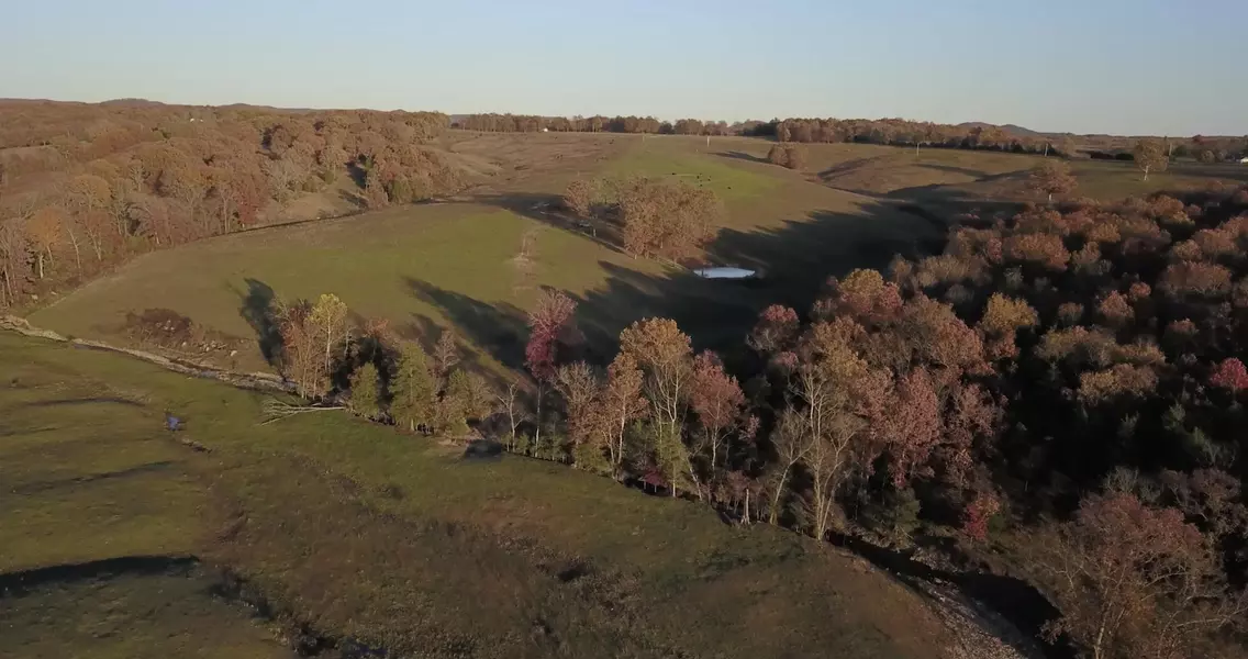 Gainesville, MO 65655