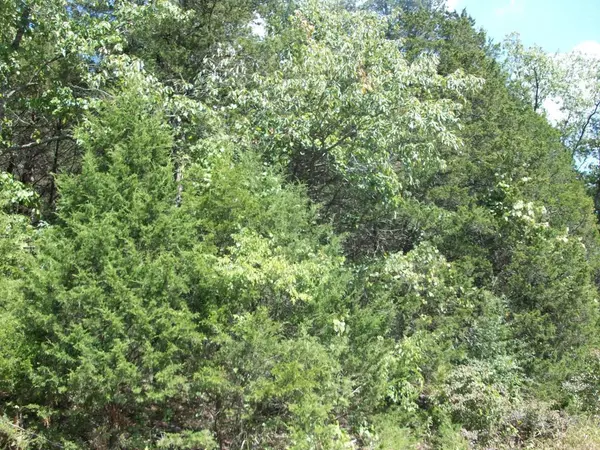 Branson, MO 65616,000 Cahill