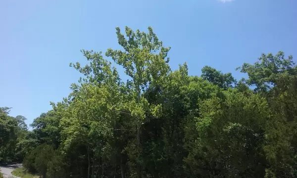 Branson, MO 65616,000 Cahill