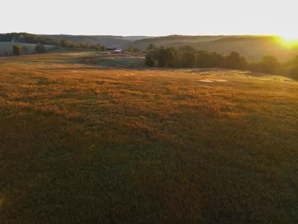 3340 County Road 289, Willow Springs, MO 65793