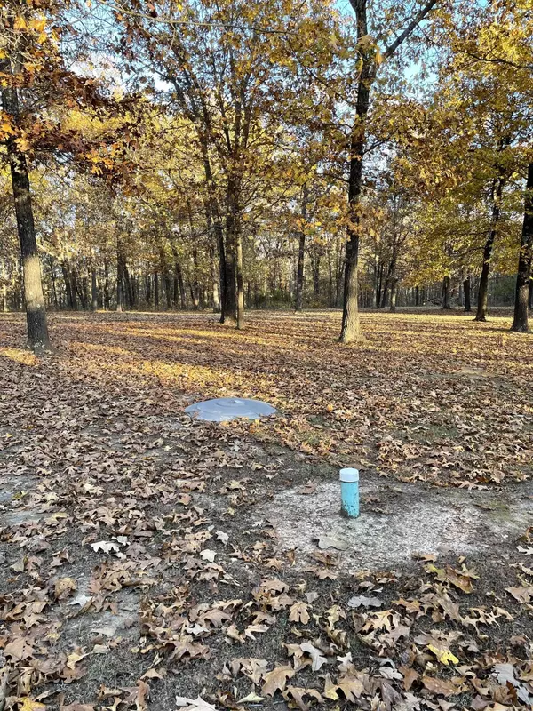 Wheatland, MO 65779,11999 Cr 153