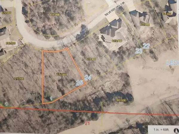 909 Silver Bluff CIR, Branson West, MO 65737