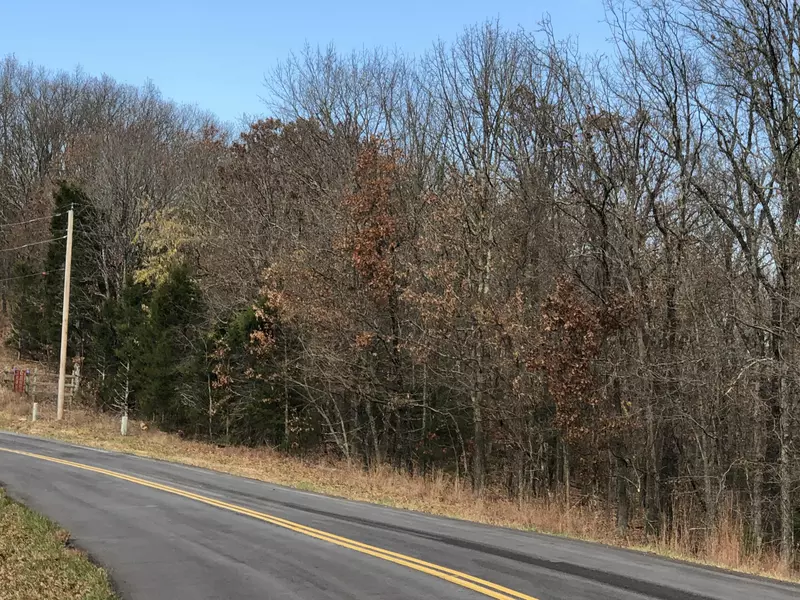 000 Dd HWY, Bruner, MO 65620