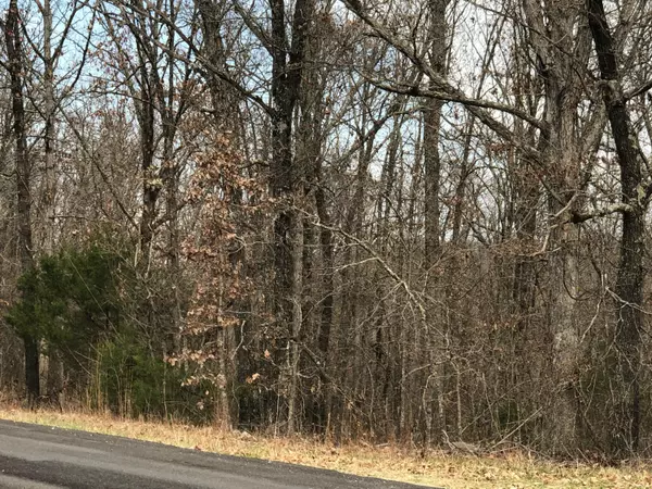 Bruner, MO 65620,000 Dd HWY