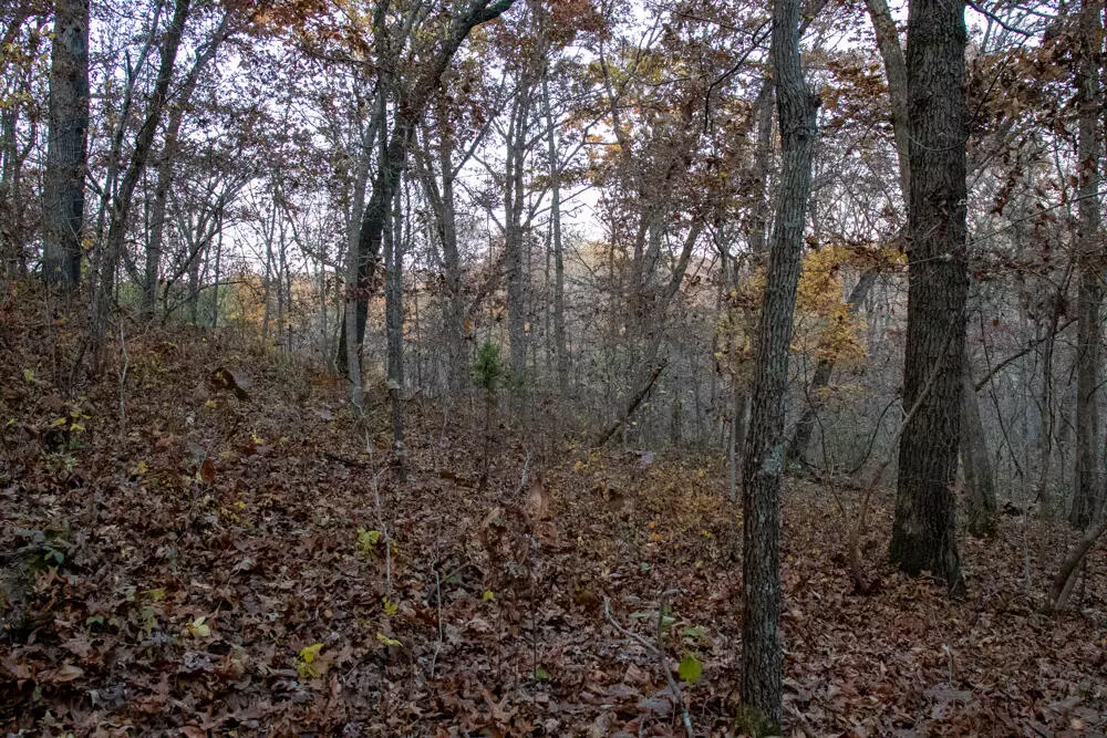 Eldon, MO 65026,000 Blue Bird Rd RD