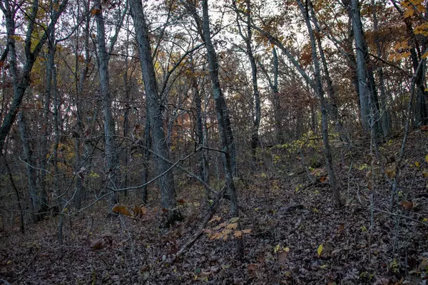 Eldon, MO 65026,000 Blue Bird Rd RD