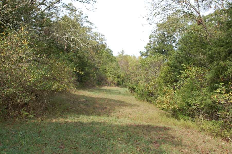 275 Tower (Lot 3) RD, Forsyth, MO 65653