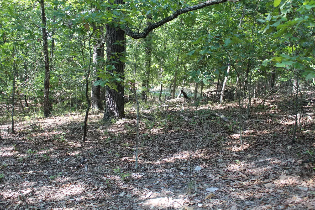 Protem, MO 65733,000 Eagle Ridge Road Lot 28 RD