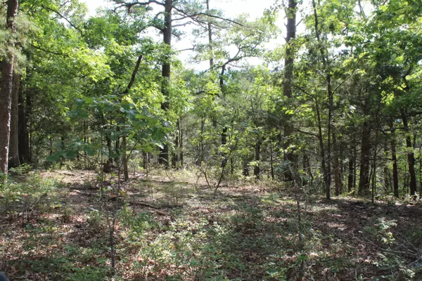 Protem, MO 65733,000 Eagle Ridge Road Lot 28 RD