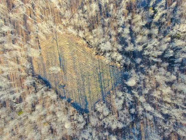 Thayer, MO 65791,Tbd County Road 255