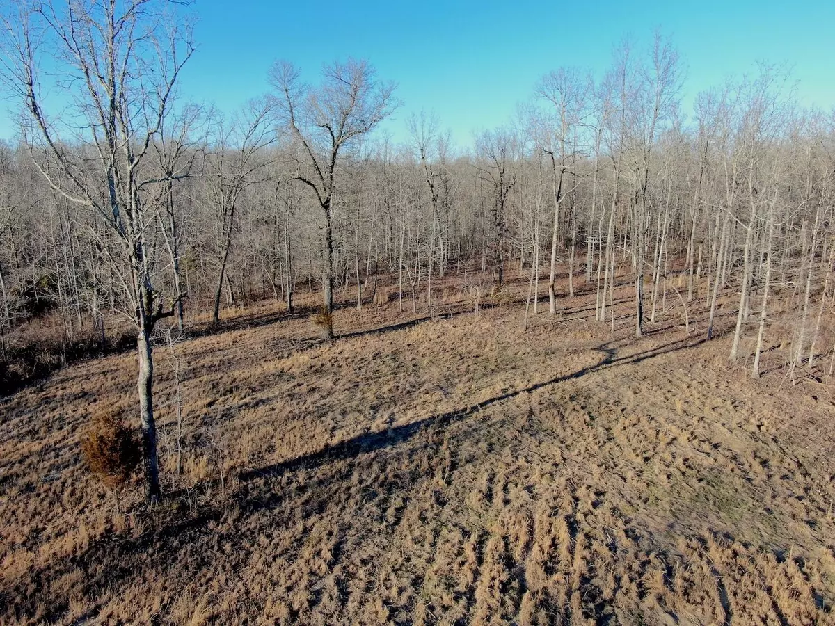 Thayer, MO 65791,Tbd County Road 255