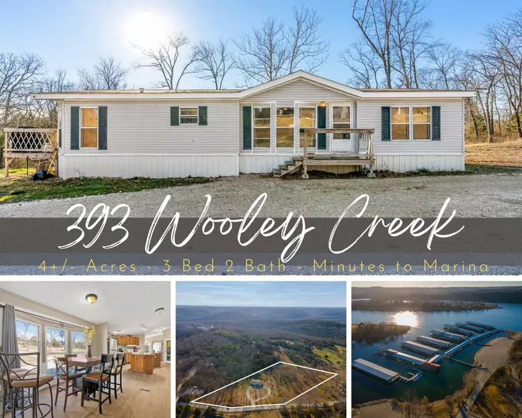 393 Wooley Creek RD, Cape Fair, MO 65624