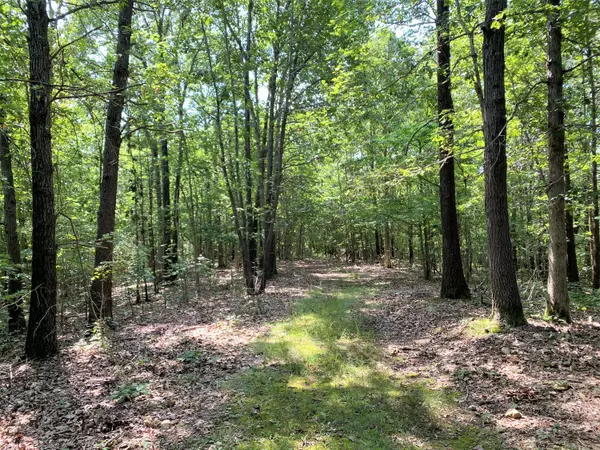 Goodman, MO 64843,5890 Beamon Hollow RD