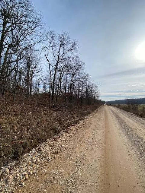 Willow Springs, MO 65793,Tbd County Road 1990