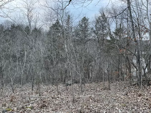 Cape Fair, MO 65624,Tbd Kings Ridge RD