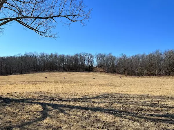 Alton, MO 65606,000 County Road 306