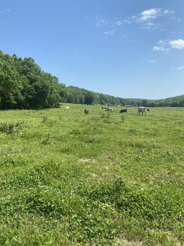 Dora, MO 65637,Tbd Camellia Lane