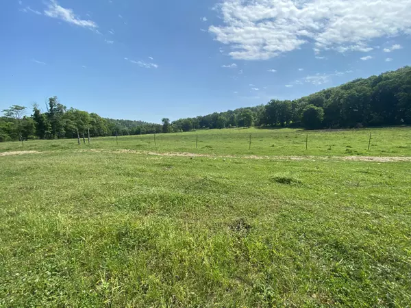 Dora, MO 65637,Tbd Camellia Lane