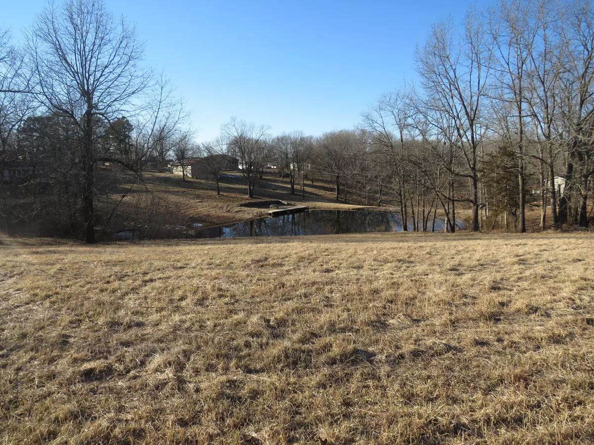 Mansfield, MO 65704,Tbd-2 E Summit ST